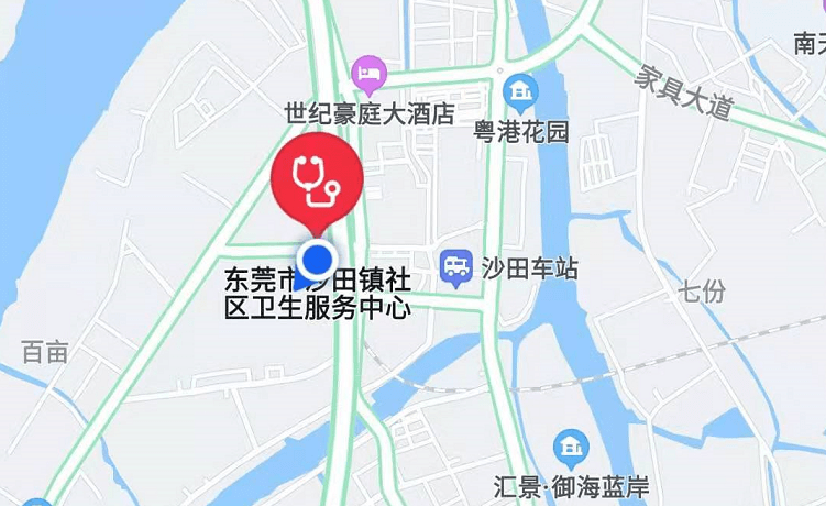 东莞市沙田镇控规图图片