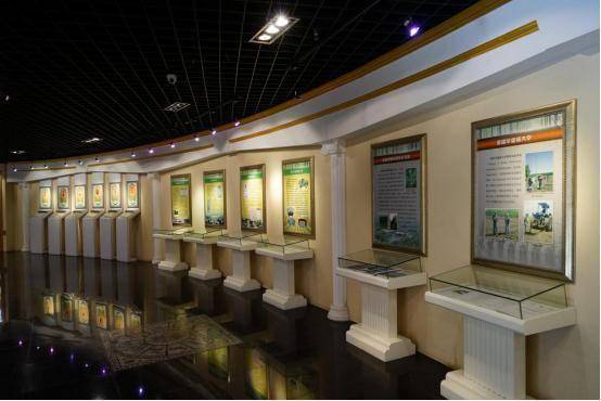 地址:泗阳县徐一线发现棉花的脉络中国棉花博物馆综合运用实物与高