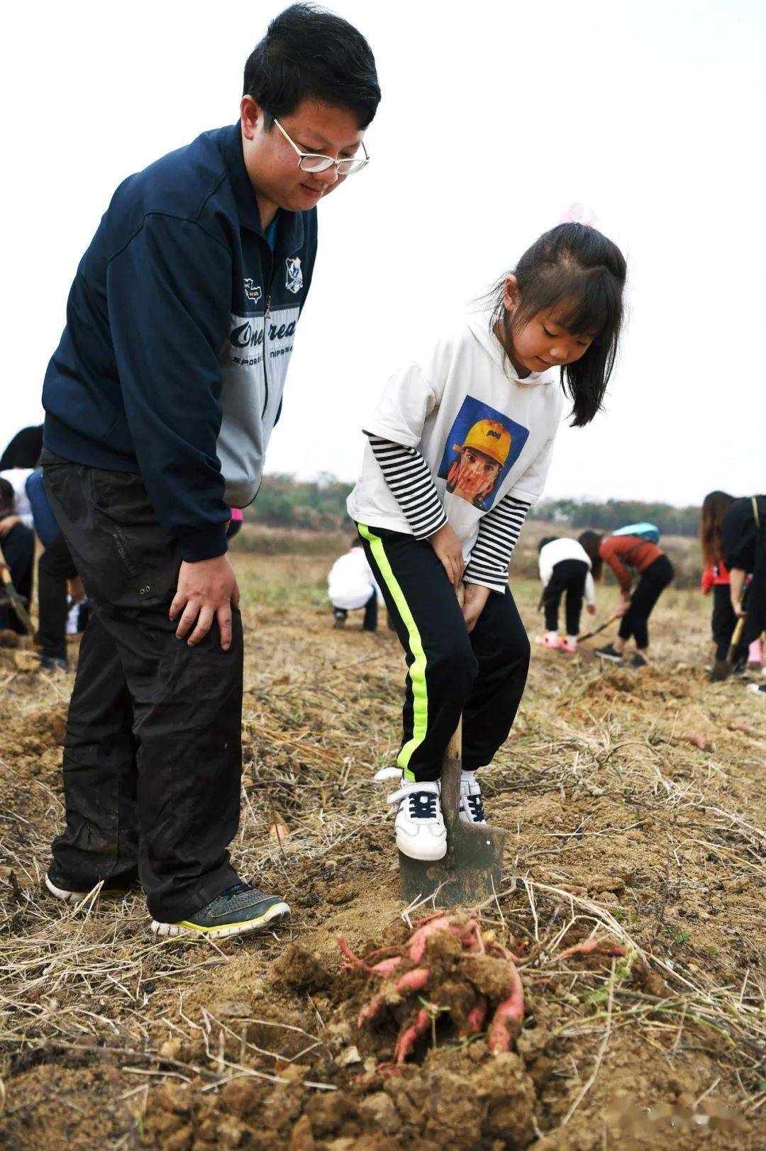 行摄朱硕阳和他的双马生态农场为市民提供健康美味的好食材