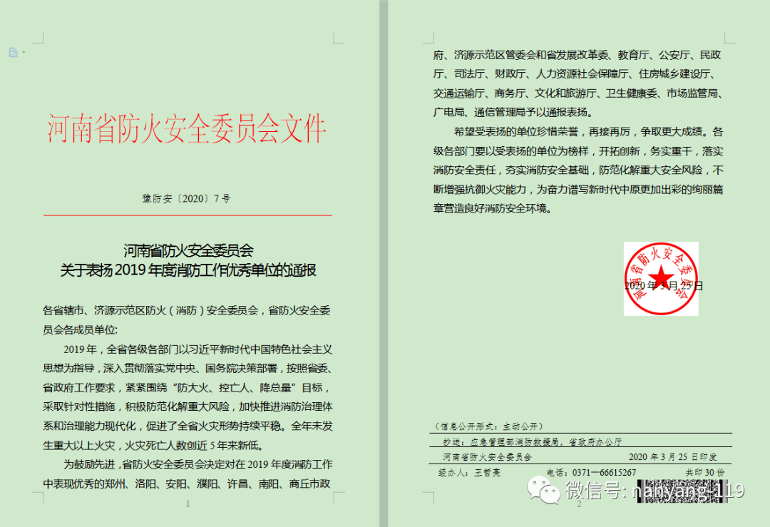 勇立潮头风正劲 及锋而试谱新篇——南阳市消防救援支队2020年工作综述