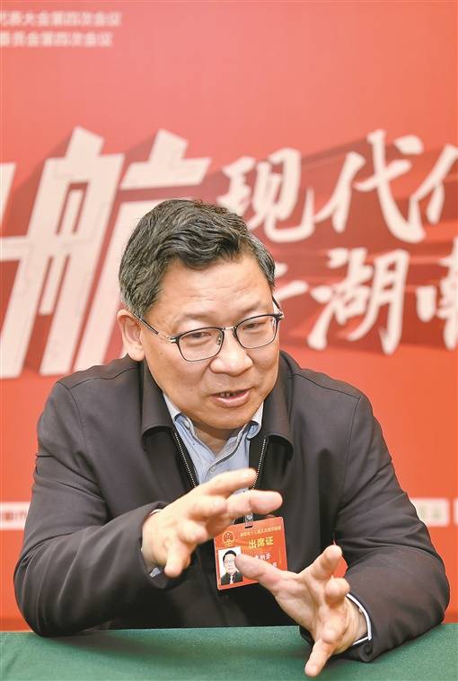 湖南日报·新湖南客户端记者 张劲夫 摄李文才委员.