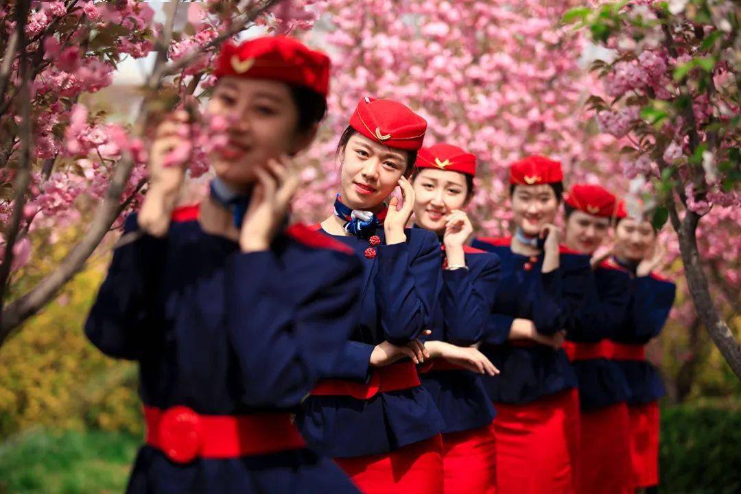 淄博职业学校单招_淄博报名学院职业单招怎么报名_淄博职业学院单招报名