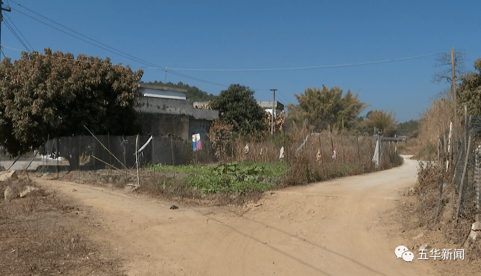 五华这个村的村民乐开了花!_潭下