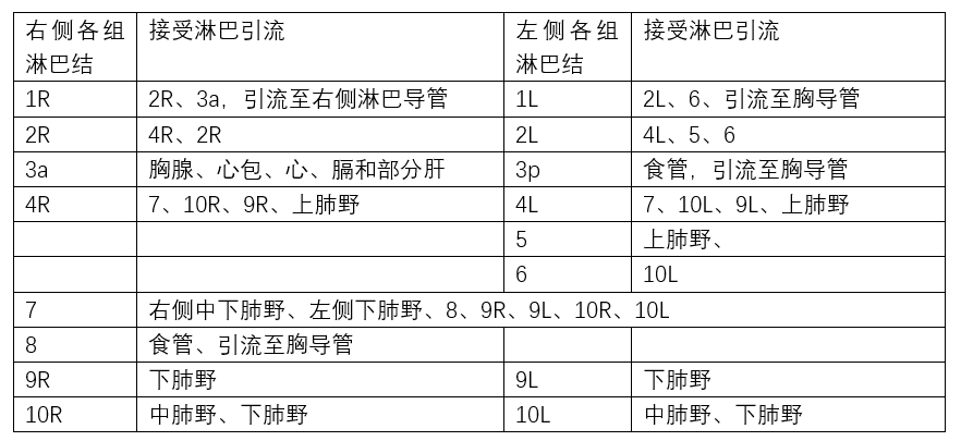 摸象之一目了然的纵隔淋巴结分区