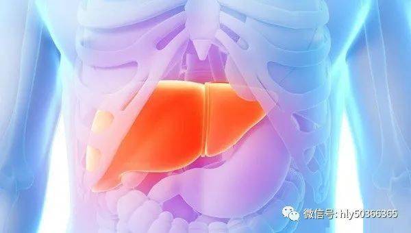 癌胚抗原正常能排除肝癌症吗 c3f12dfb384c45b7bd756dd9219ed316.jpeg