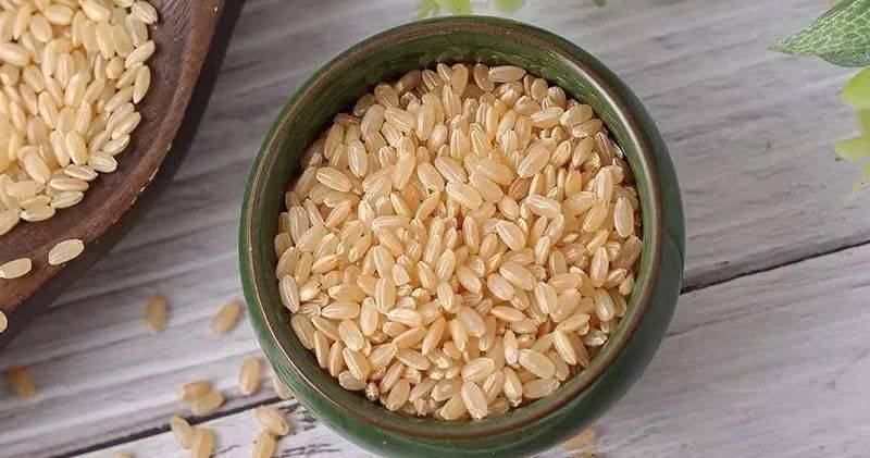 米饭加菜能控糖吗 d628dfeedf584a94b177fee582472f75.jpeg