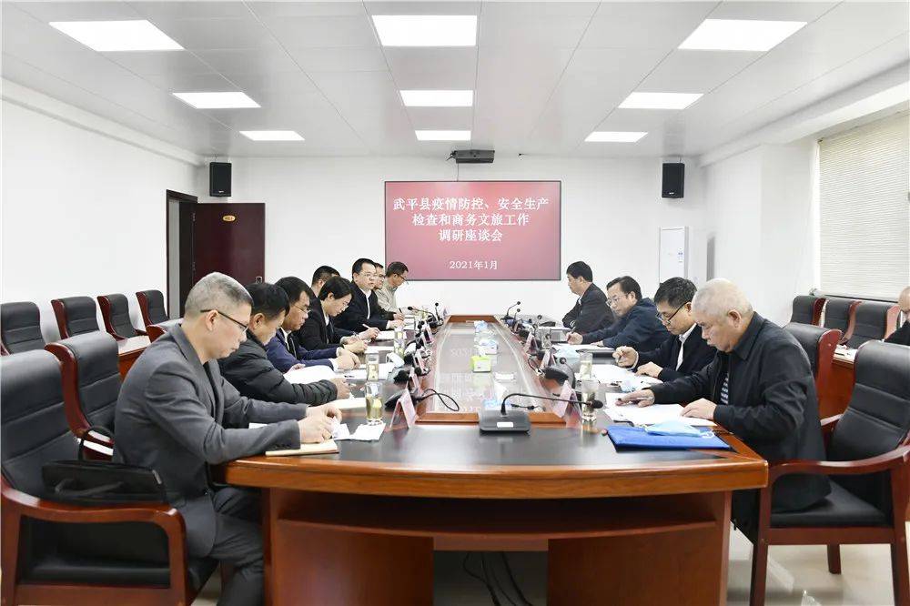 岁末年初市领导前来武平督导调研这些重点工作