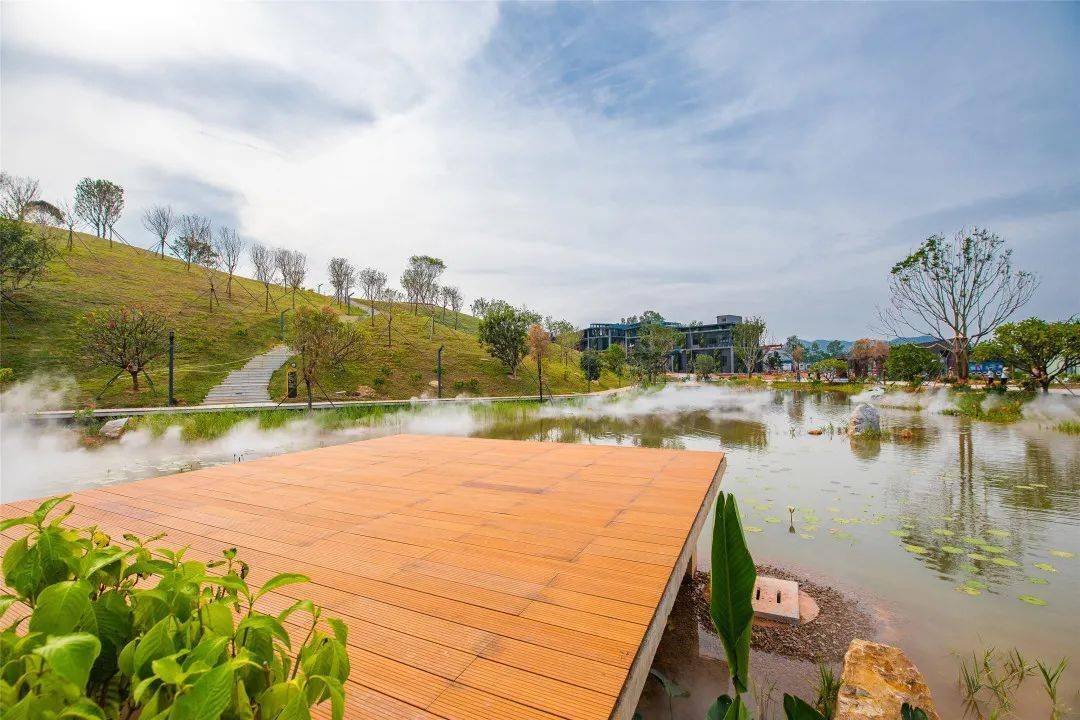 春节留深!龙华游园攻略之民治街道篇!_公园