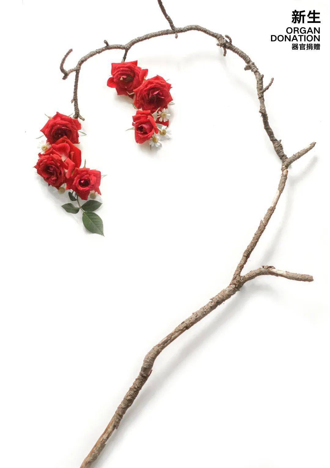 如何简单画人体器官 1d02bcd1785d44f6b944b934dece508e.jpeg