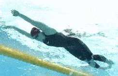 蝶泳换气动作,头在臂的两个"之前"