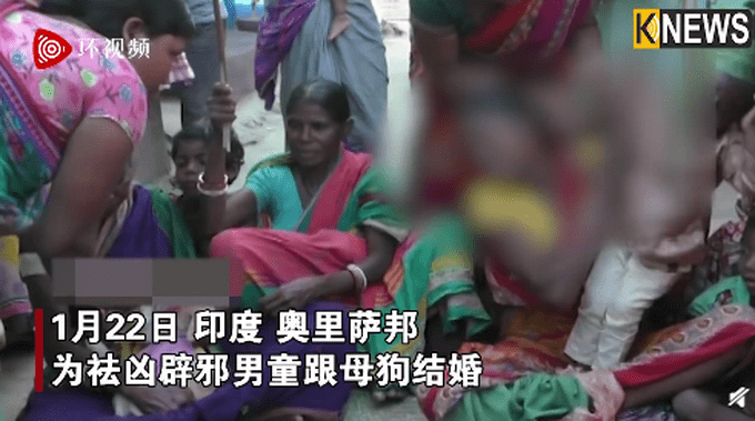 印度男童为辟邪跟母狗结婚（图）