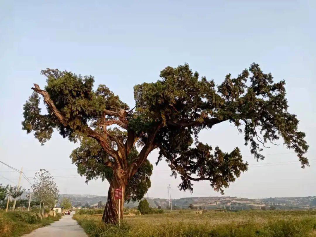 某物的看法,主持人诵读后即有不少听友共鸣和回应:"还是杨君有水平