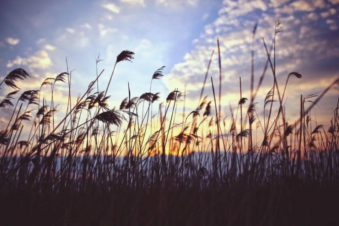 b88a79c8185f4b38b3e14397314593a6.jpeg
