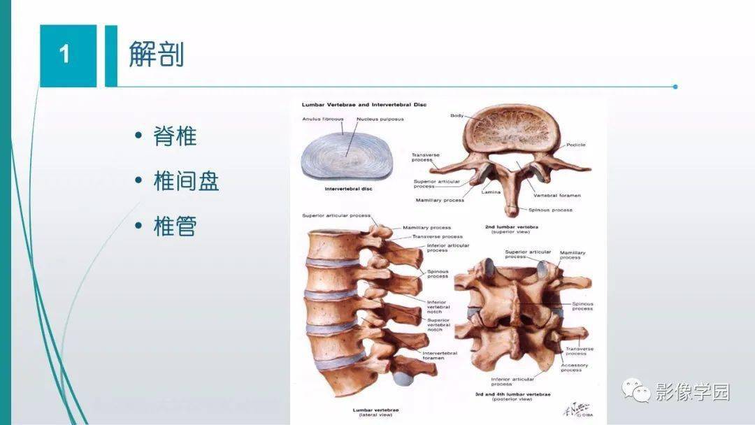 脊髓和椎管內病變的影像學診斷