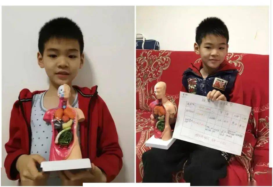科学创意寒假作业我的身体模型二年级篇