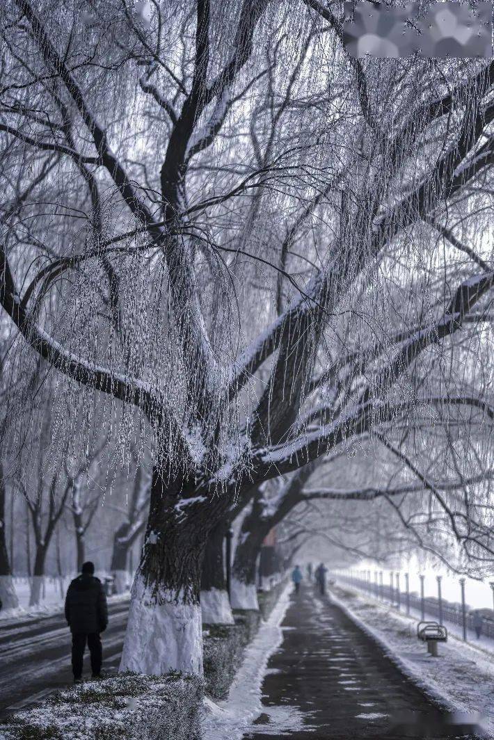 1月26日,沈阳出现大雾天气,城市楼宇在浓雾中若隐若现.