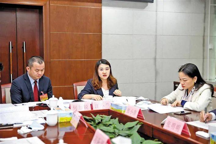 委员热议政府工作报告履职尽责献良策凝心聚力启新程