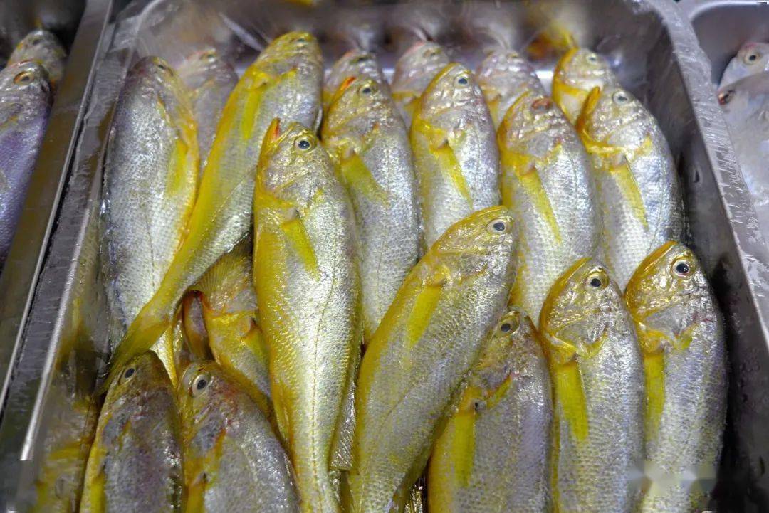 更多台州美食请点击:上海新荣记荣叔黄鱼面新荣记旗舰店 海鲜砂锅面