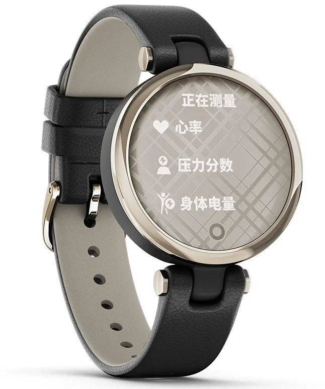 原创garminlily优雅上市表径仅34毫米专为纤细手腕的女性设计