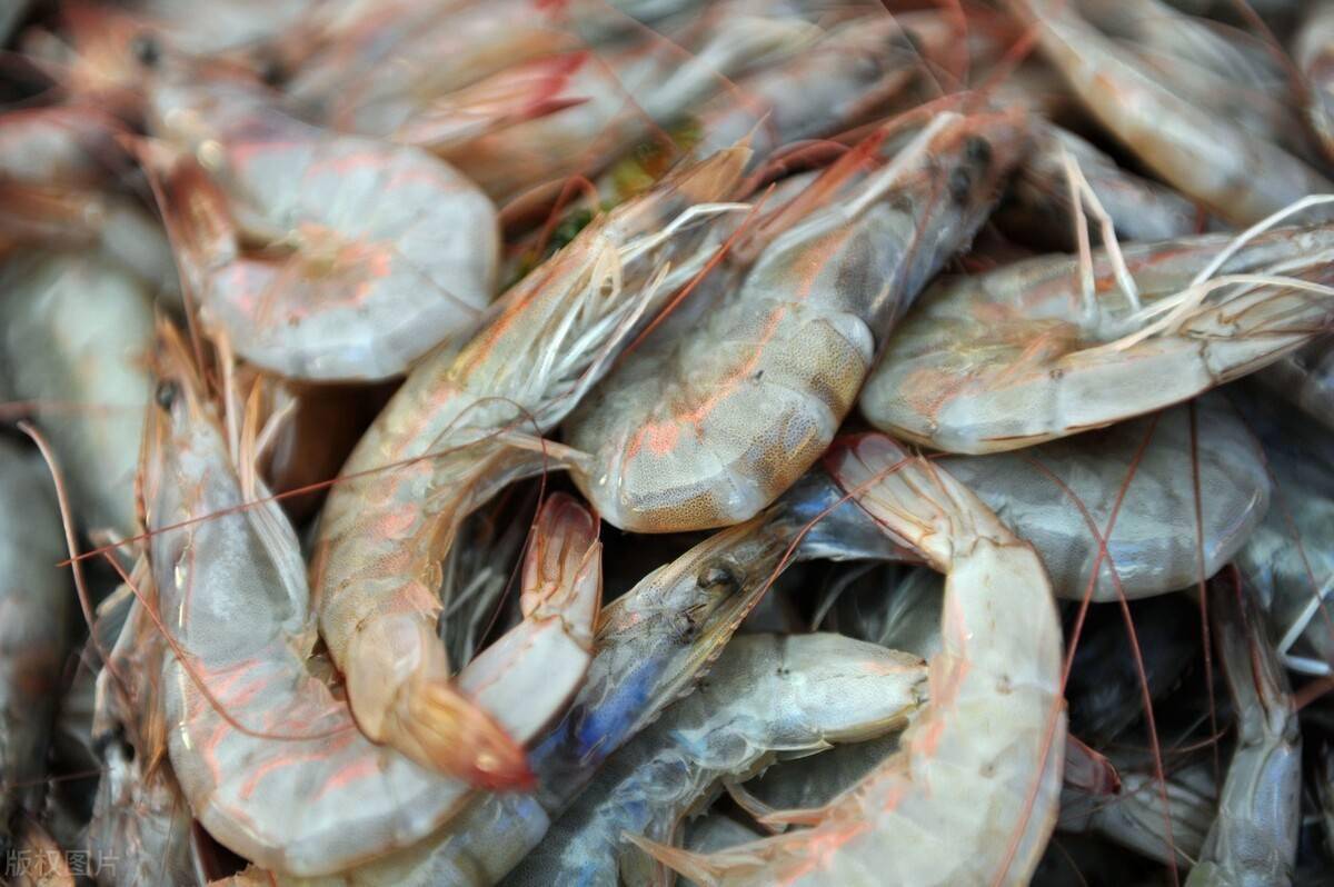 虾线怎么挑出来图解视频 75bbf9393a3249f380a5652a9020bd35.jpeg