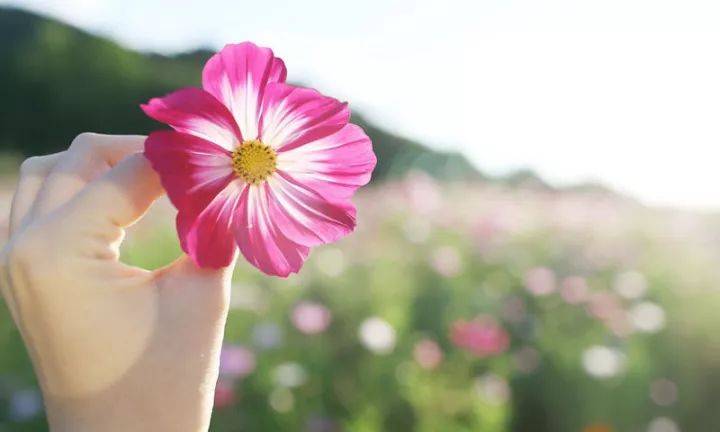 非常走心的心情唯美说说短句句句金玉良言