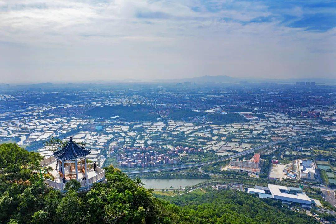 广东景点排名大全_广东臭虫咬人图片大全(2)