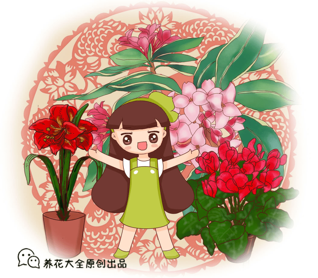 65fdcb2d3207469b8fc9fb90a5cd0156.png