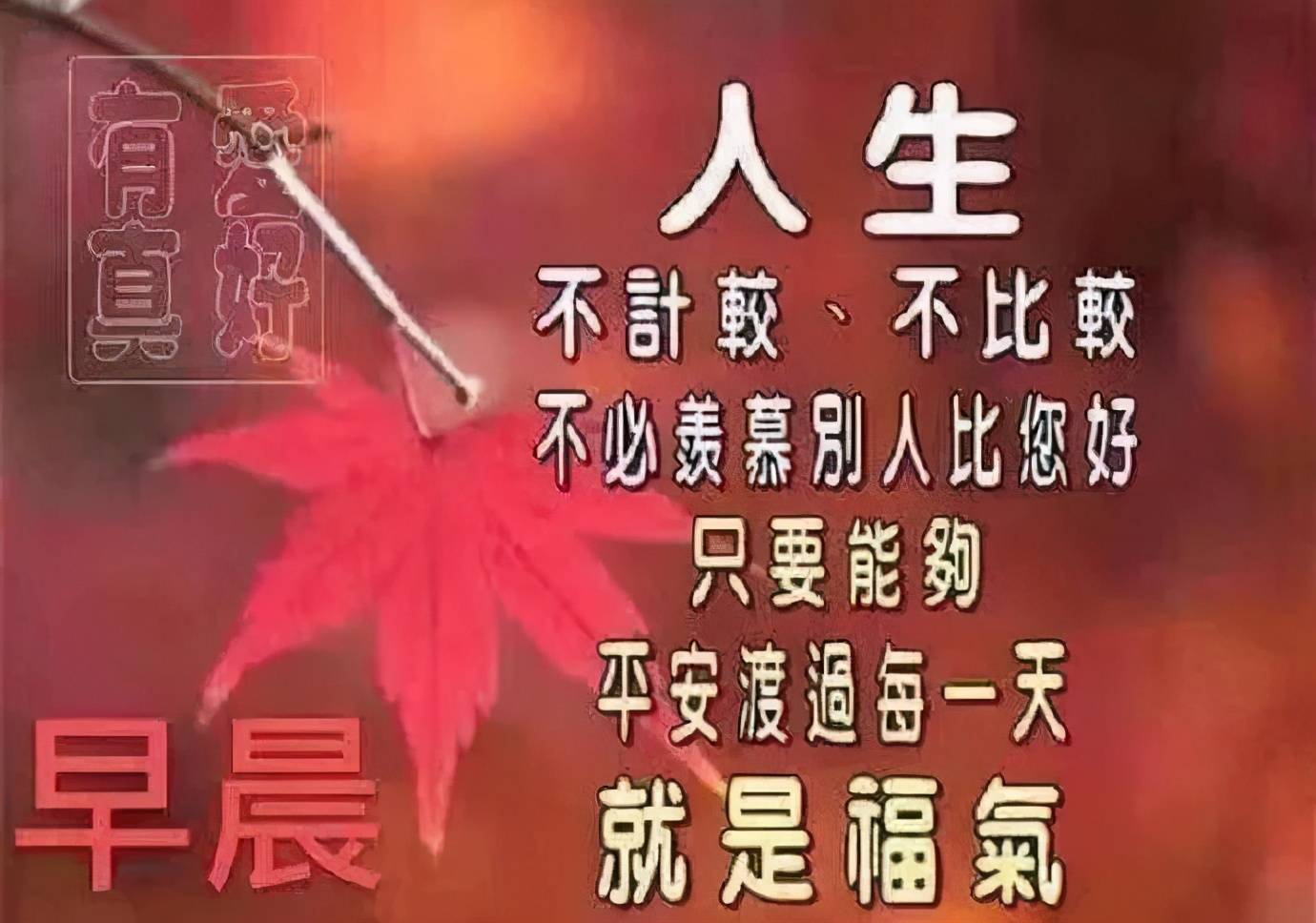 我們努力了珍惜了問心無愧其他的交給命運早安