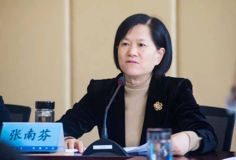 张南芬指出,在2020年这个极不平凡的年份里,卫生健康工作遇到的困难比