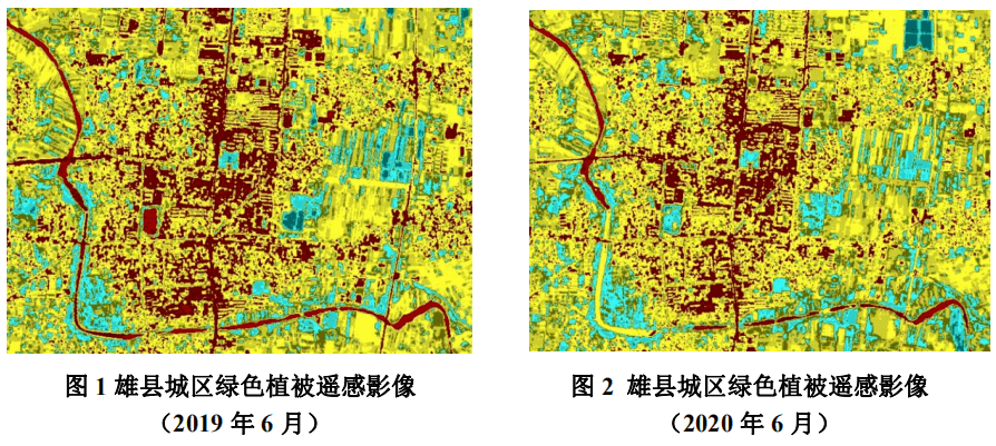 青年人口_人口普查图片