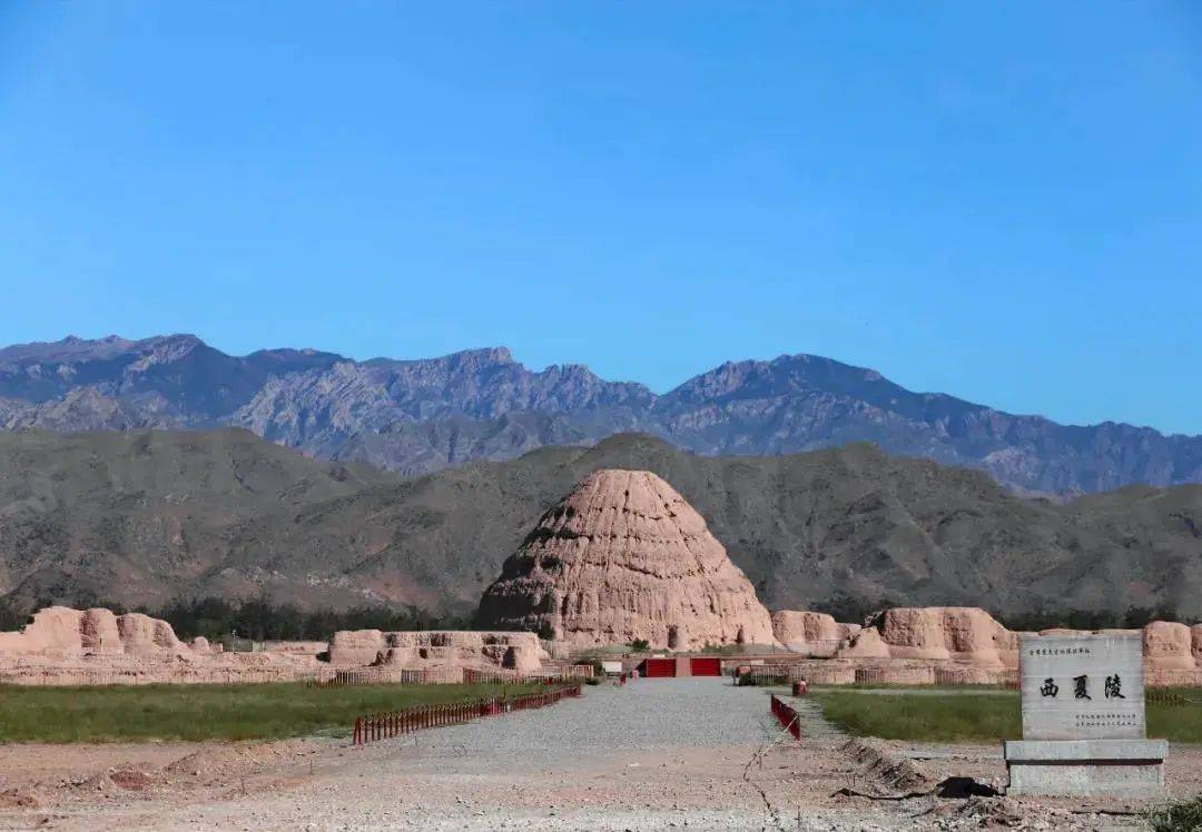 山海情高分收官土掉渣的背后竟藏着这样的宁夏