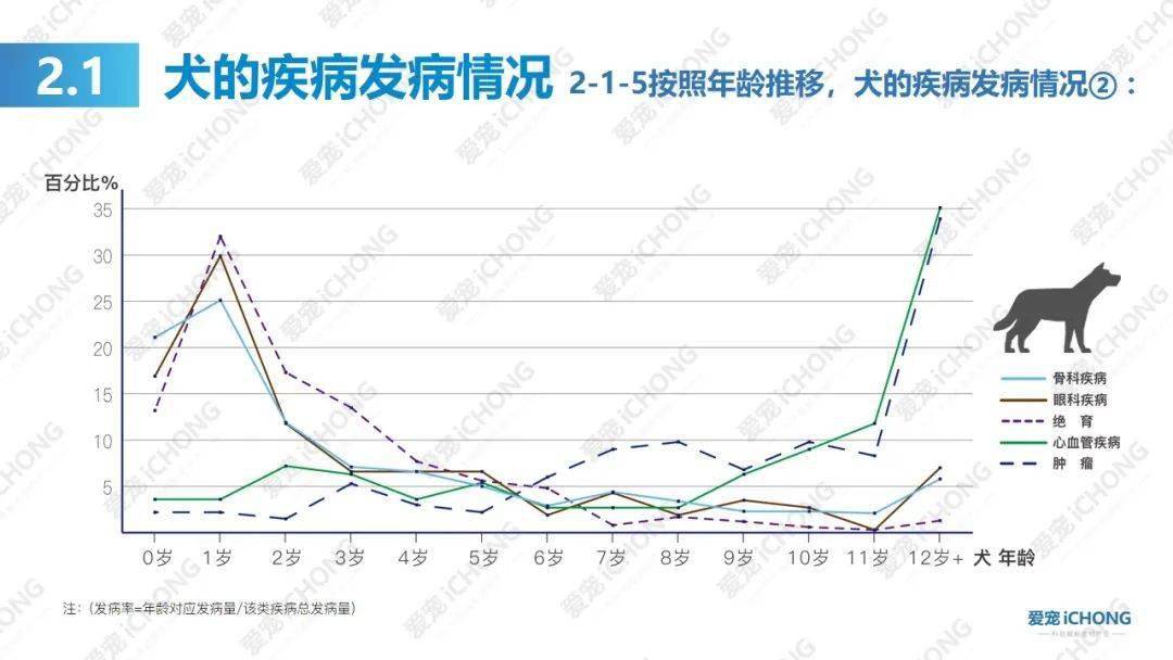 乖宝宠物食品集团2020年gdp_聊城乖宝集团车间图片(3)