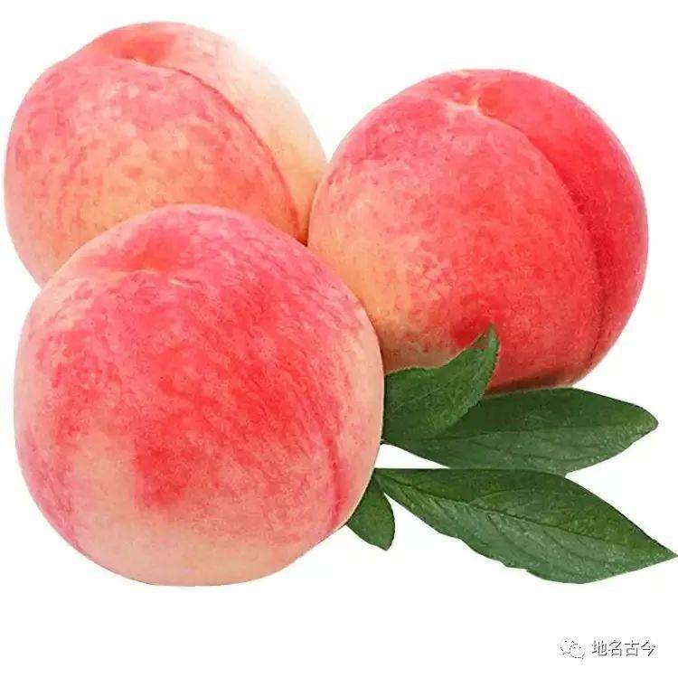 f7d245f9f919477694e62e35c9d539bf.jpeg