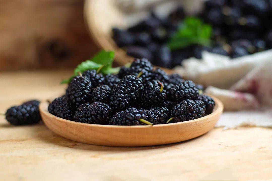 生桑葚的功效 1099eabce30547aab278ab0043957edd.jpeg