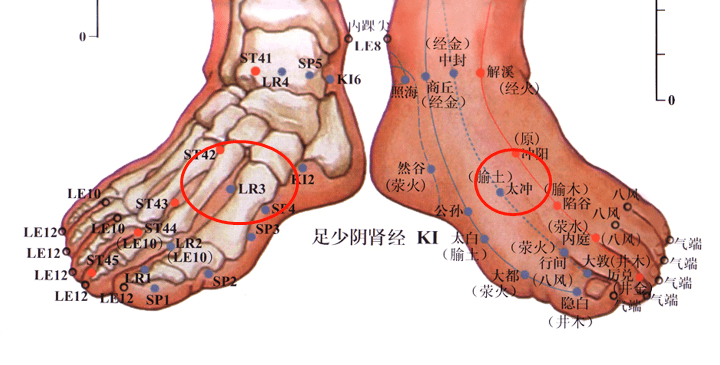 太冲穴位于足背侧,当第1跖骨间隙的后方凹陷处(第一,二趾跖骨连接部位