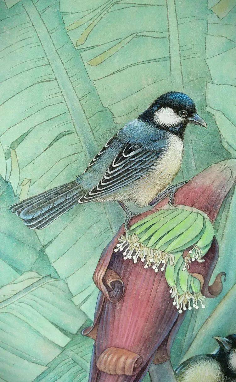 陈松岩教授工笔白孔雀牡丹技法班2月21日开课