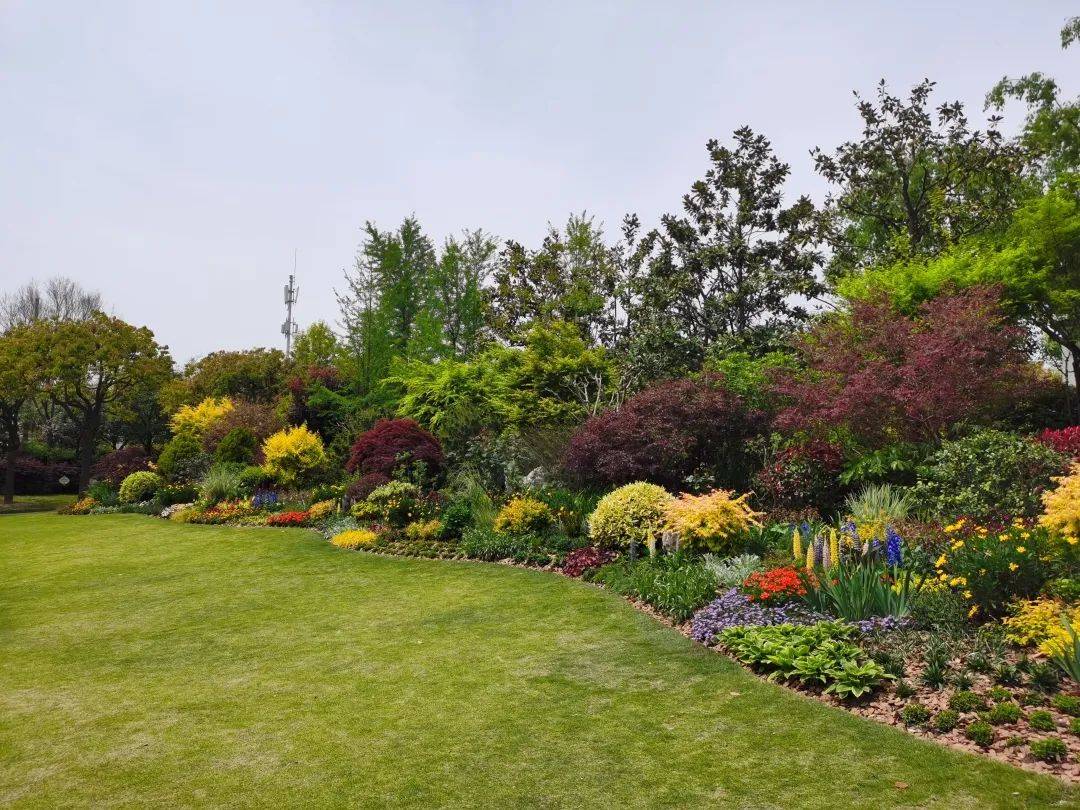 阳光明媚,去普陀这个公园逛逛!_造景