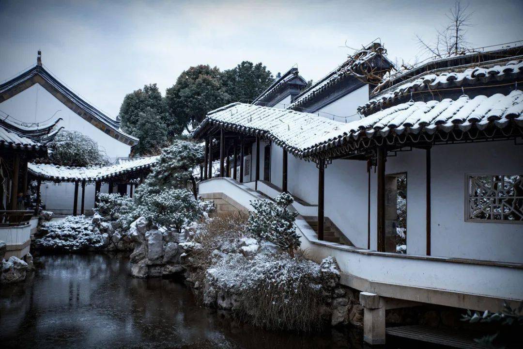 美鉴丨院子与雪绝美