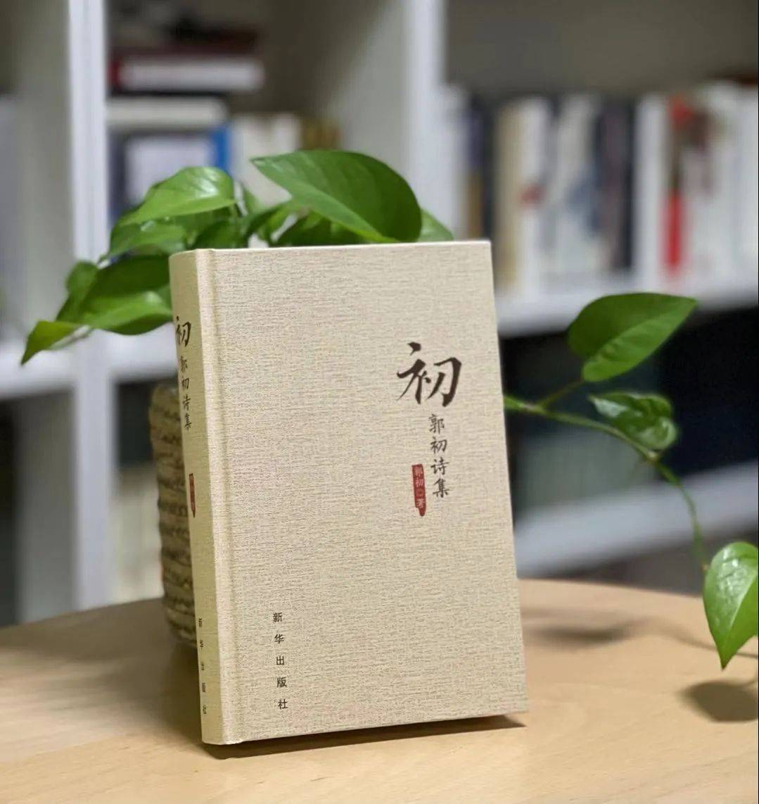 韩松:文字的存在必定是有深意的——读郭初诗集《初》 | 草地·书话