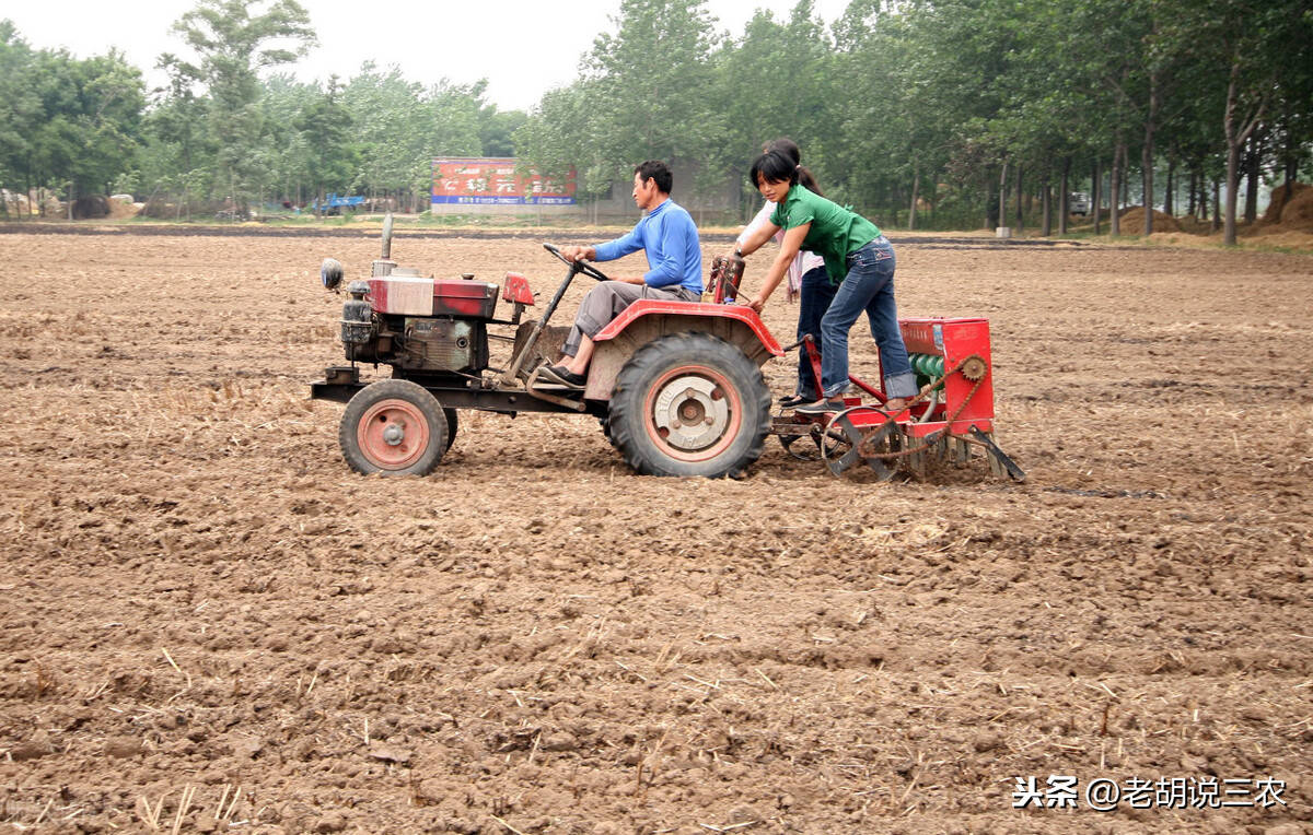 为啥有些农户自己有拖拉机不用而偏偏借牲口耕田老农说出实情