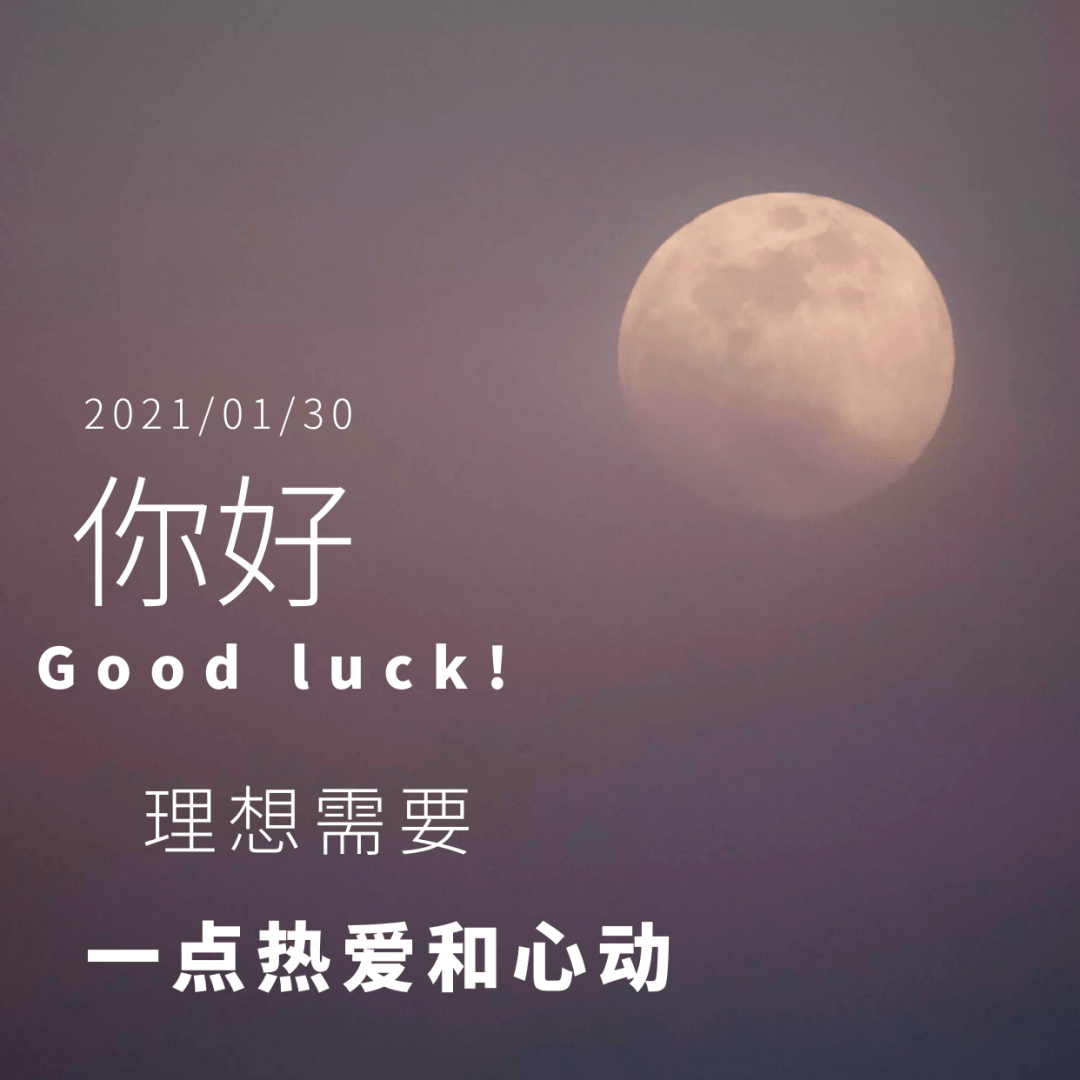 耳间森林你见过凌晨四点的洛杉矶吗