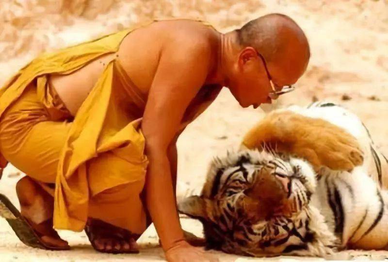 动物拜佛千年一见!佛法无边,感天动地!