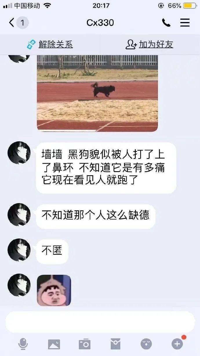 压力山大流浪狗鼻环男图片