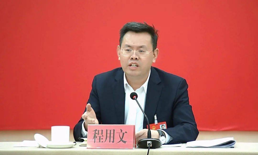 程用文参加江夏代表团审议:以干部的辛劳汗水,换取人民群众的幸福指数
