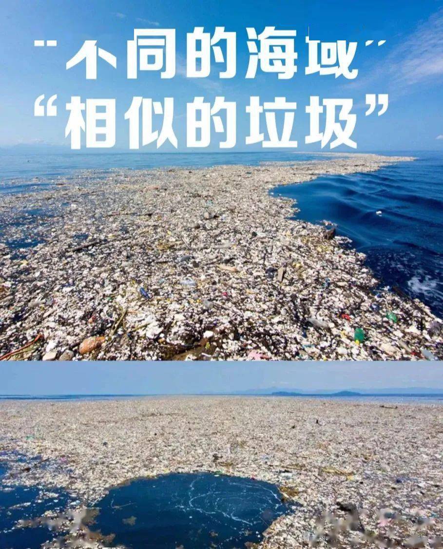 环保科普塑料危机引人深思