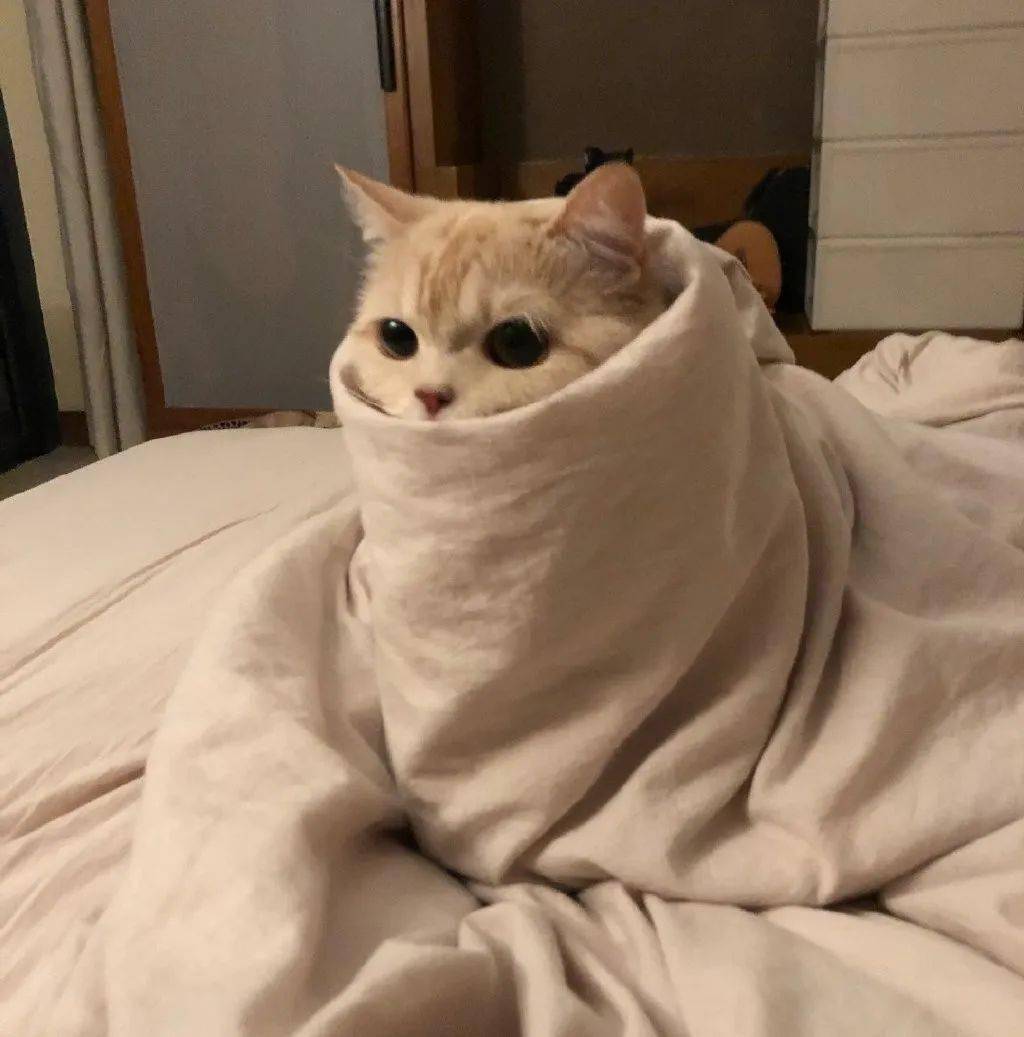 二月份微信头像到了该换了