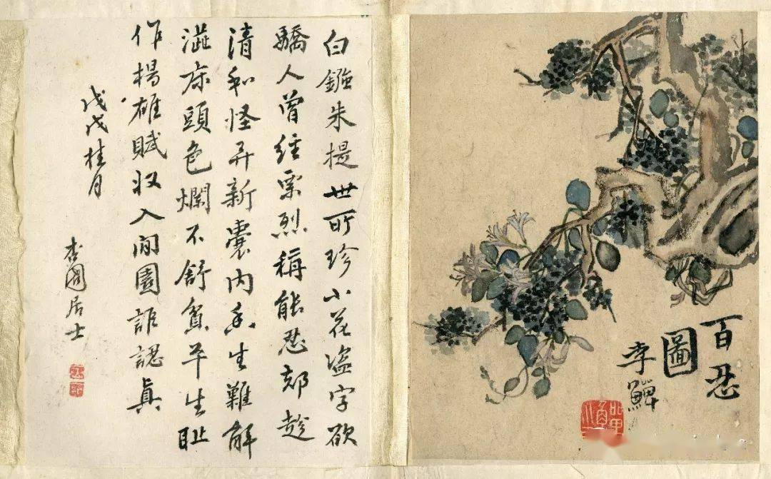 每日一画扬州八怪之一李鳝原裱花鸟册页高清版