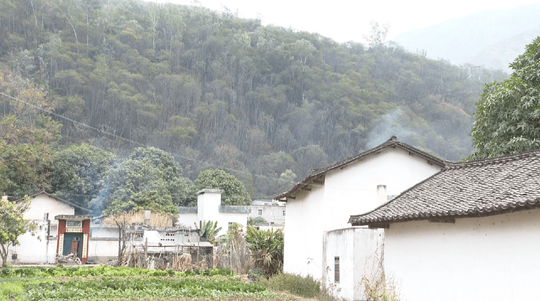 巧家有多少人口_巧家之最 很多巧家人都不知道,甩给他们看看(3)