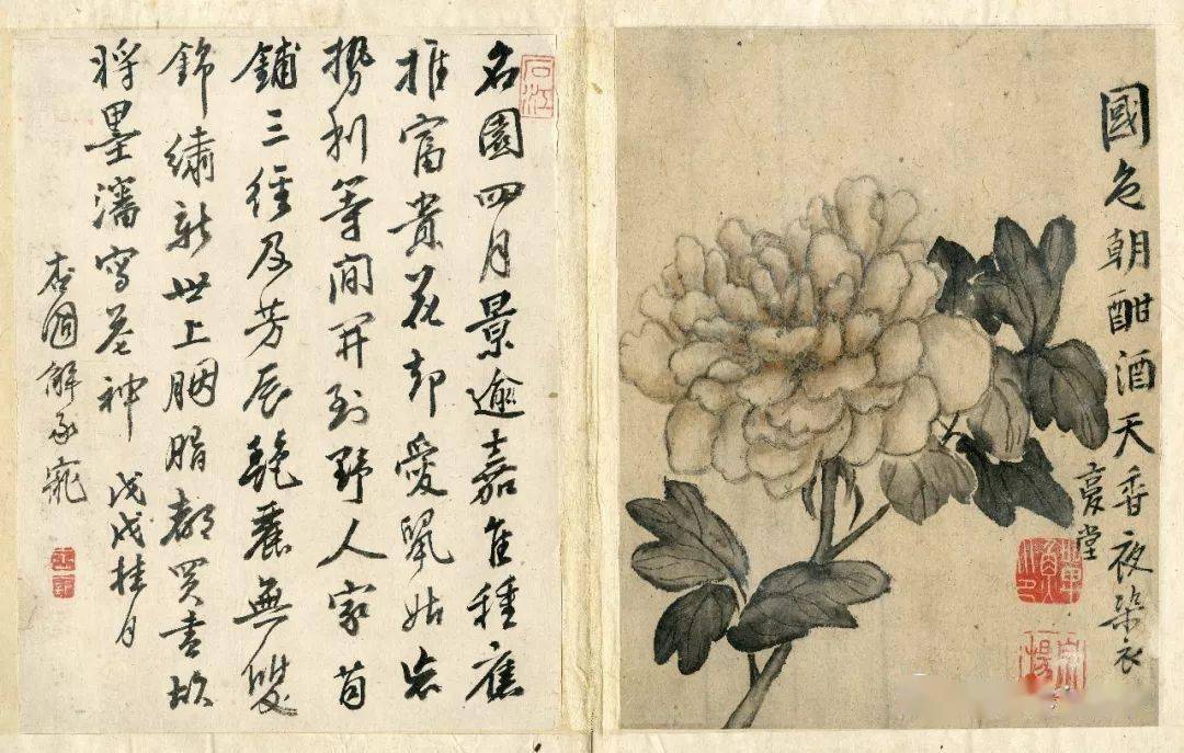 每日一画扬州八怪之一李鳝原裱花鸟册页高清版