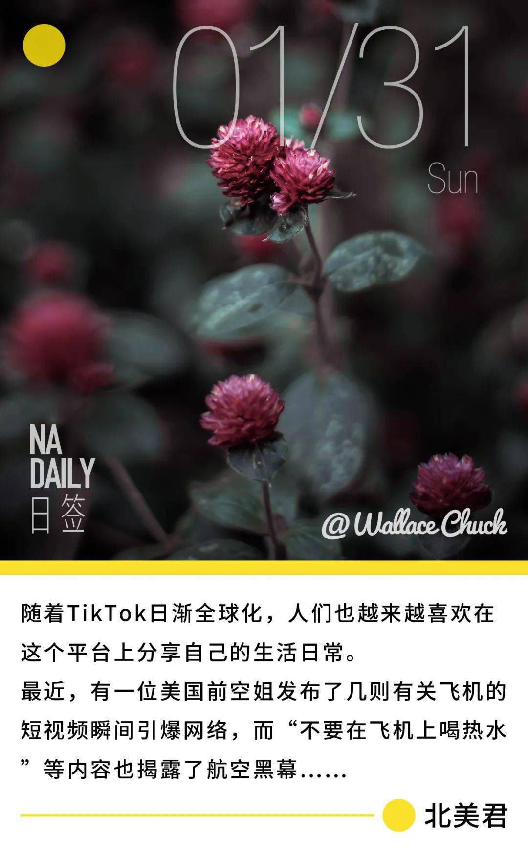 为什么不能喝飞机上面的热水 cc57895956b34c67b8742f998e39dc90.jpeg